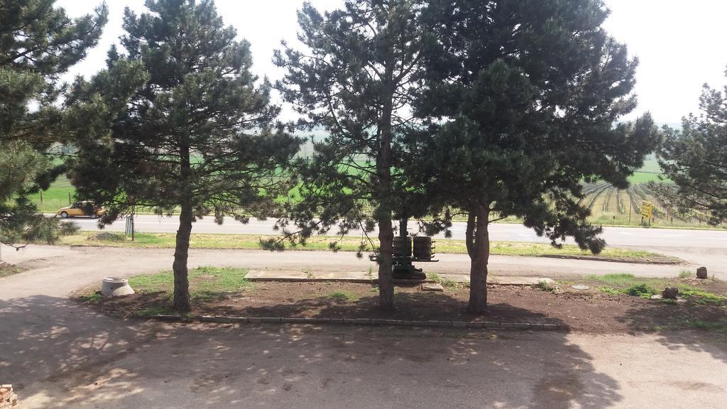 Penzion U Tomcalu Terezin  Экстерьер фото