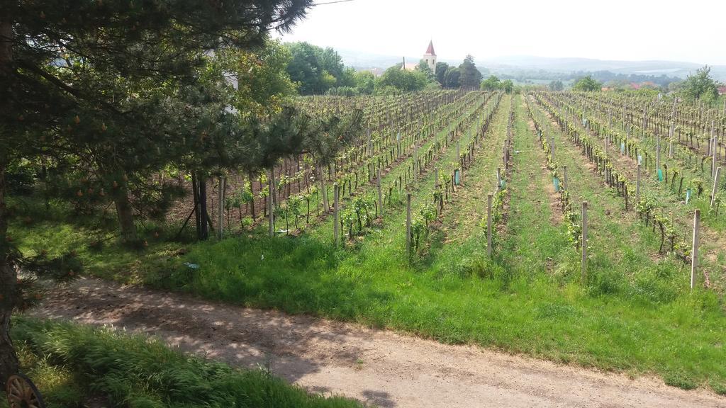 Penzion U Tomcalu Terezin  Экстерьер фото